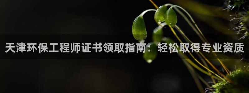 彩名堂加拿大怎么买准确率高：天津环保