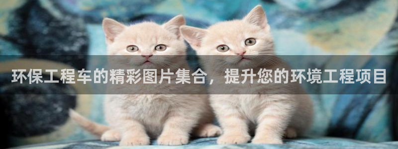 彩名堂怎么打不开了：环保工程车的精彩