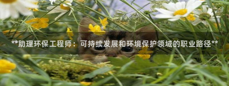 彩名堂手机客户端怎么下载：**助理环