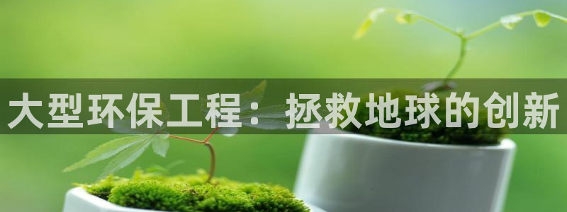 彩名堂计划怎么跟不挂：大型环保工程：