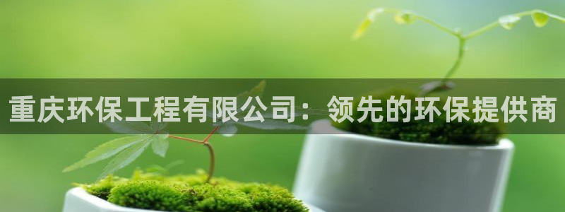 彩名堂计划app新版：重庆环保工程有
