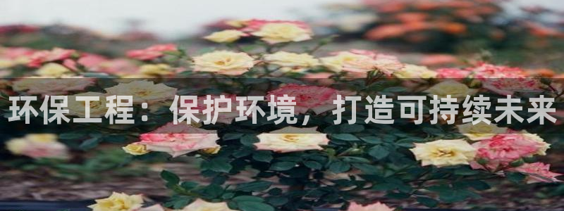 彩名堂免费计划亮点：环保工程：保护环