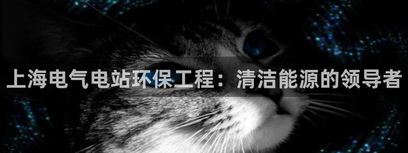 彩名堂手机版官网：上海电气电站环保工