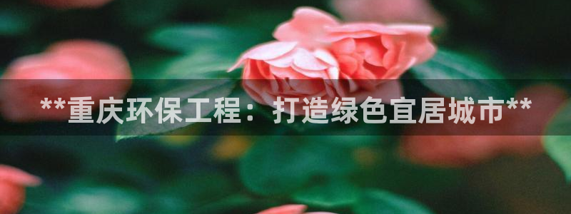 彩名堂app官方网：**重庆环保工程
