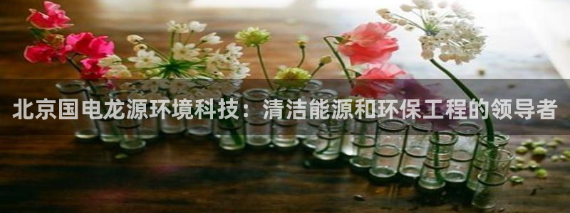 彩名堂网页：北京国电龙源环境科技：清