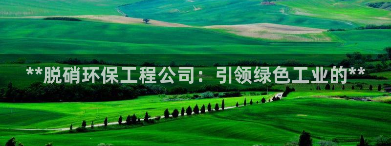 彩名堂使用方法和用量：**脱硝环保工