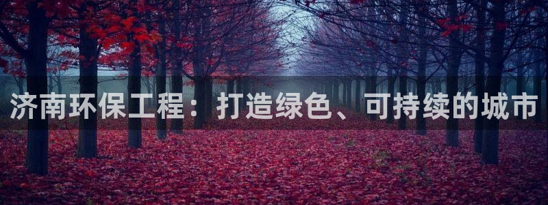 彩名堂怎么选稳定计划：济南环保工程：