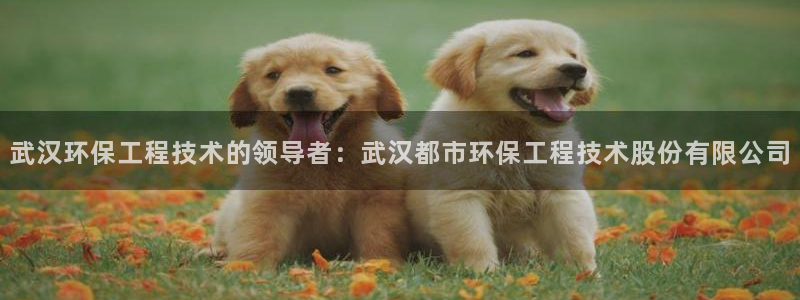 彩名堂app计划官方网站：武汉环保工