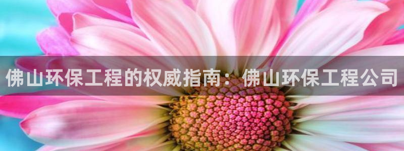 彩名堂和01计划哪个好：佛山环保工程