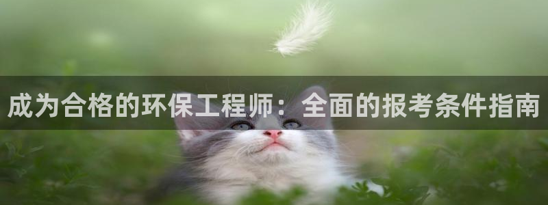 彩名堂app2.05版本：成为合格的