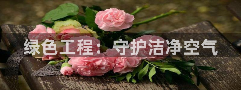 老版本彩名堂计划软件：绿色工程：守护