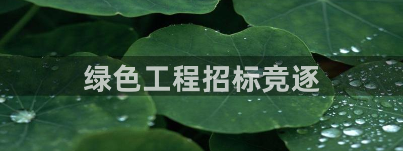 彩名堂为什么突然不能用了：绿色工程招