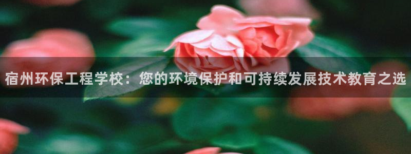 彩名堂官方下载地址：宿州环保工程学校