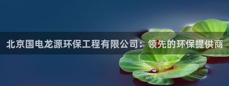 彩名堂开奖结果查询：北京国电龙源环保