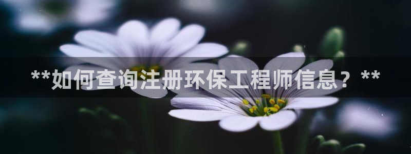 彩名堂预测免费计划：**如何查询注册