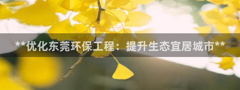 彩名堂3d：**优化东莞环保工程：提