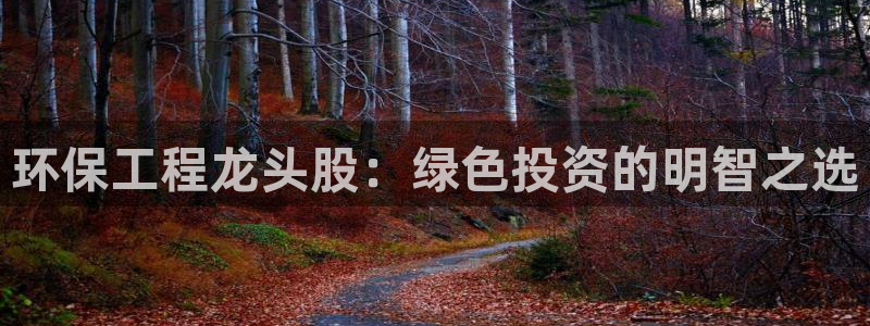 彩名堂是不是坑人的：环保工程龙头股：