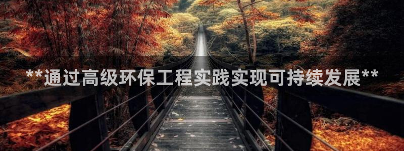 彩名堂人工预测免费计划：**通过高级
