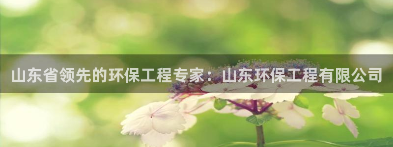 彩名堂为什么用不了了：山东省领先的环