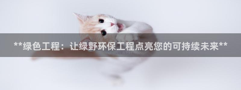 彩名堂怎么用不了了：**绿色工程：让