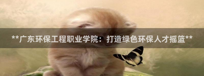 彩名堂是不是坑人的东西：**广东环保