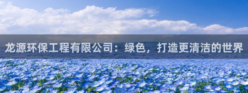 彩名堂怎么用不了了：龙源环保工程有限