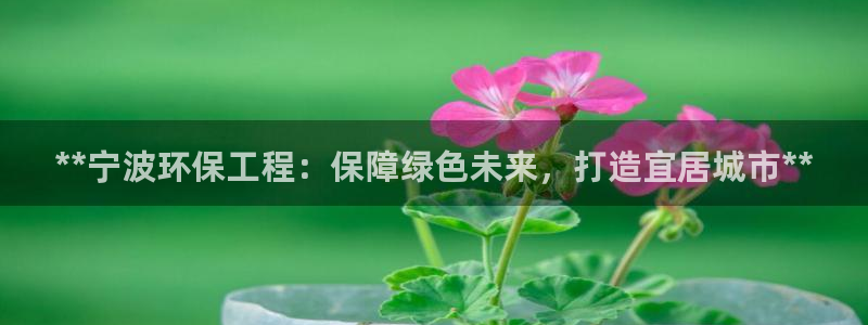 彩名堂01计划：**宁波环保工程：保