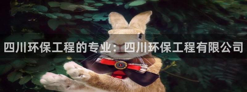 彩名堂用不了：四川环保工程的专业：四