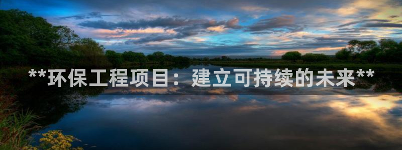 彩名堂975新版本：**环保工程项目