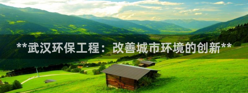 彩名堂4.3：**武汉环保工程：改善