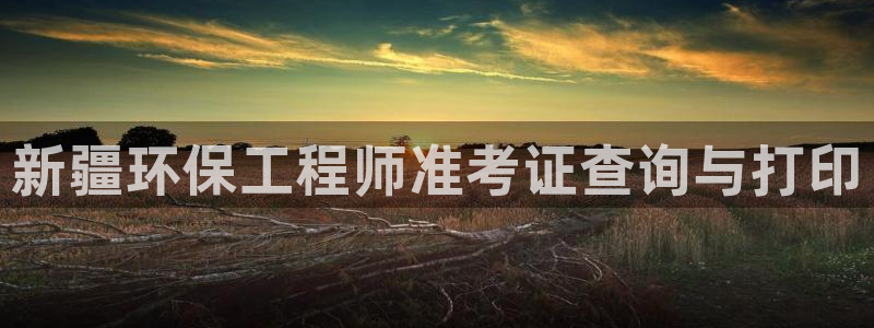 彩名堂人工计划怎么找不到下载了?：新
