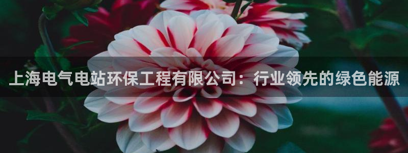 彩名堂苹果版怎么不能用了：上海电气电