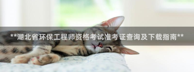 彩名堂app官方网址是多少：**湖北