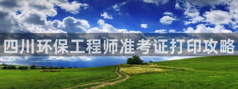 彩名堂3d：四川环保工程师准考证打印