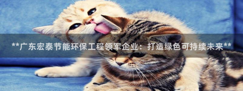 彩名堂计划怎么买胜率高：**广东宏泰