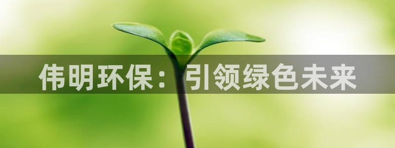 彩名堂怎么样：伟明环保：引领绿色未来