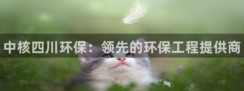 彩名堂客户端是永久免费吗是真的吗：中核四川环保：领先的环保工程提供商