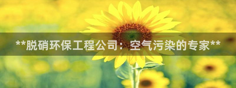 彩名堂官网在线计划怎么不更新了：**脱硝环保工程公司：空气污染的专家**