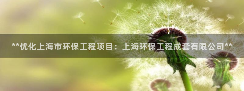 cmt彩名堂：**优化上海市环保工程