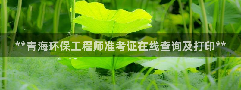 彩名堂苹果客户端：**青海环保工程师