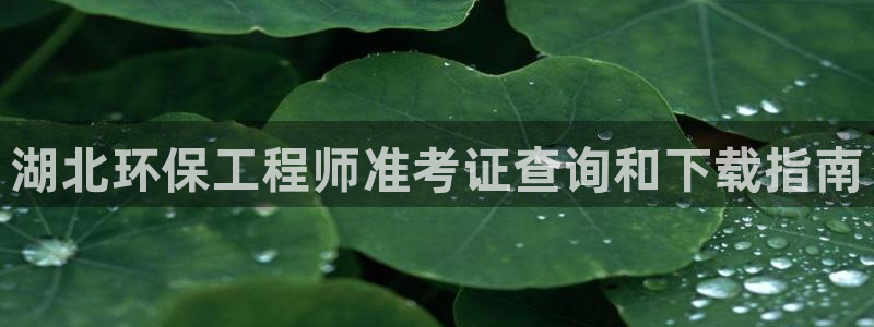 彩名堂苹果客户端怎么下载：湖北环保工
