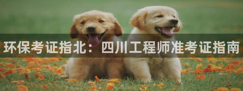 彩名堂免费计划官网5.0版下载链接：环保考证指北：四川工程师准考证指南