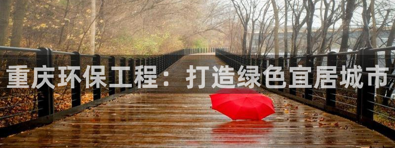 谁知道彩名堂网站是多少：重庆环保工程