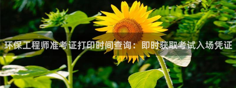 彩名堂975新版本：环保工程师准考证