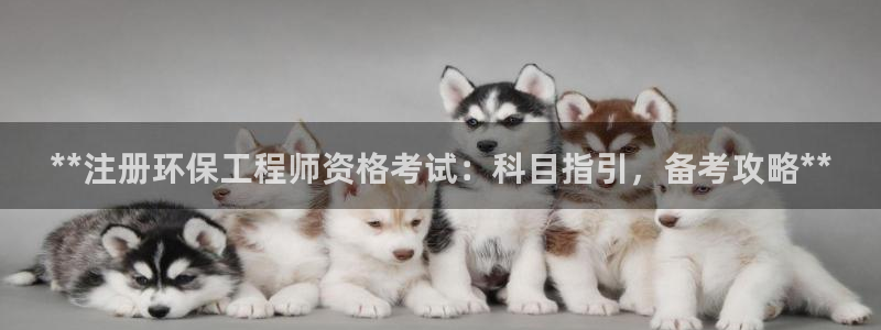 为什么彩名堂今天不能用：**注册环保工程师资格考试：科目指引，备考攻略**