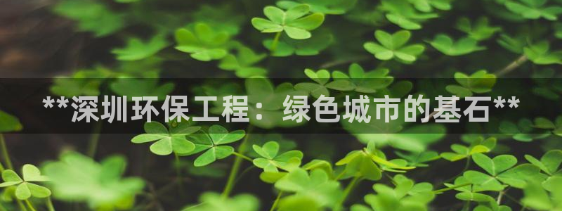 彩名堂幸运飞船计划：**深圳环保工程：绿色城市的基石**