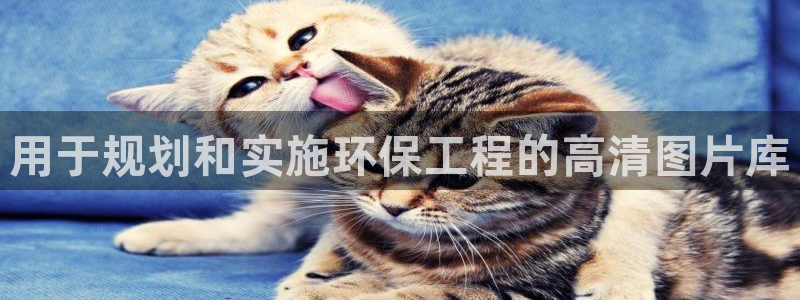 彩名堂官方软件下载：用于规划和实施环