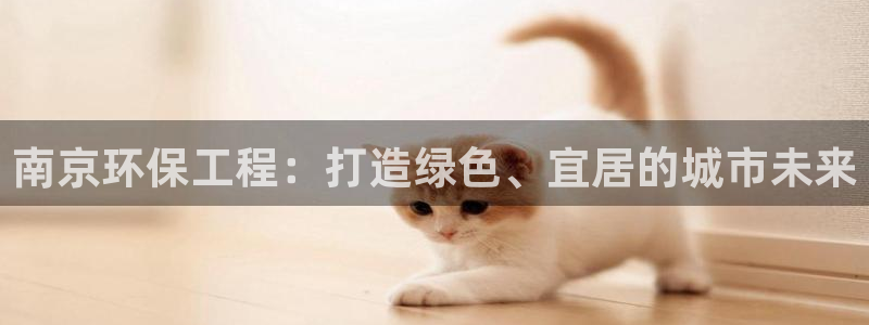 彩名堂人工计划怎么找不到下载了?：南