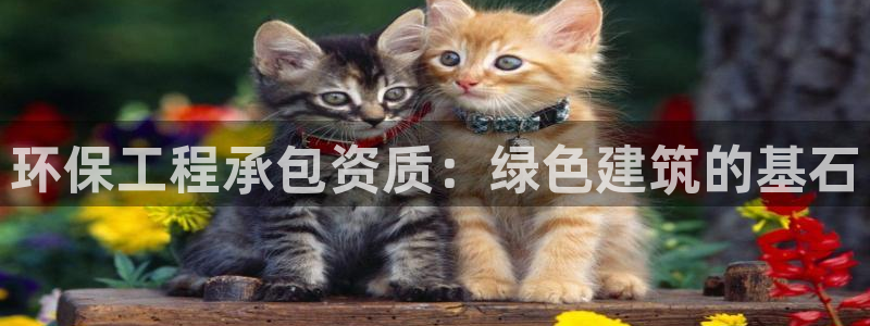 彩名堂苹果版怎么不能用了：环保工程承