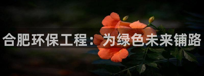 彩名堂为啥不准了乱变：合肥环保工程：